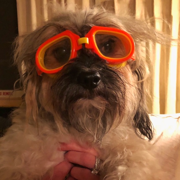 Meet your Posher, Meighan - Picture 6 of 7